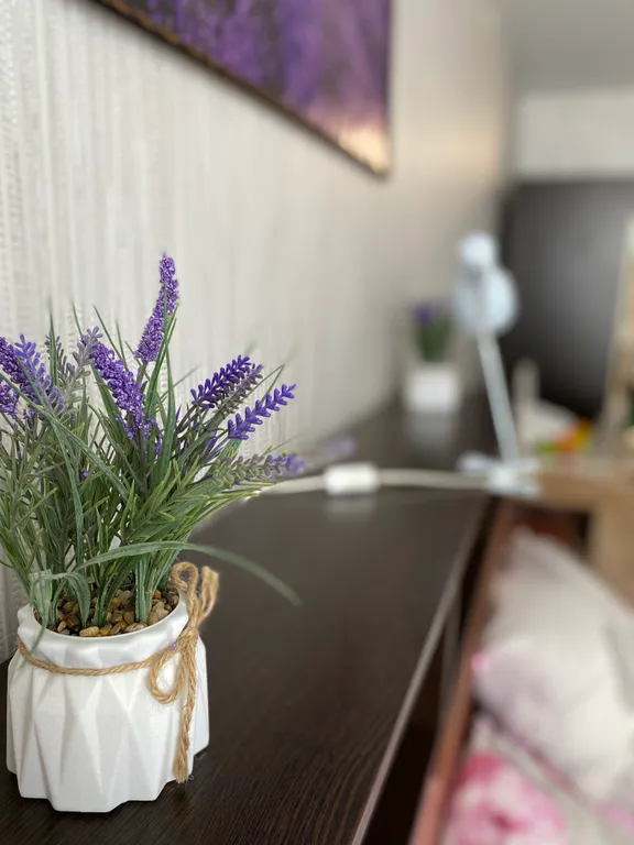 Уютная квартира студия