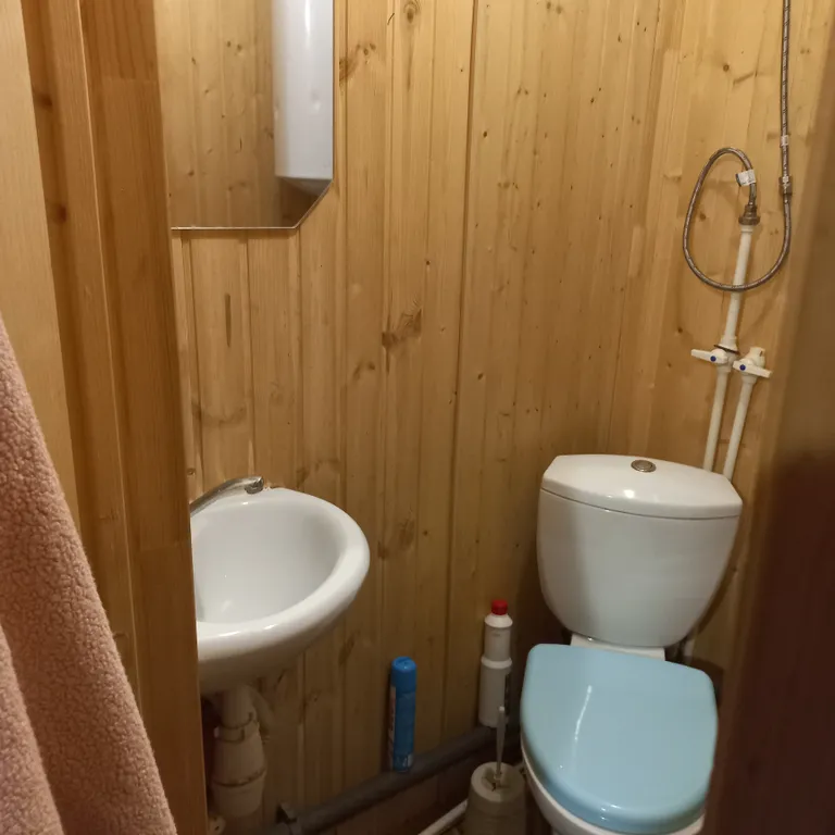 Дом-баня на дровах в деревне