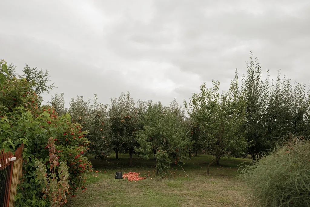 Большой уютный загородный дом с садом