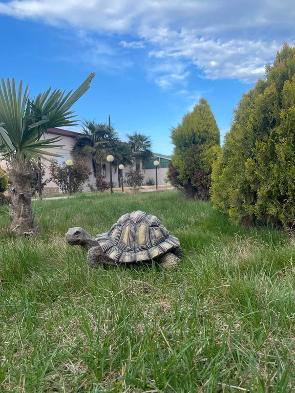 Дачный коттедж