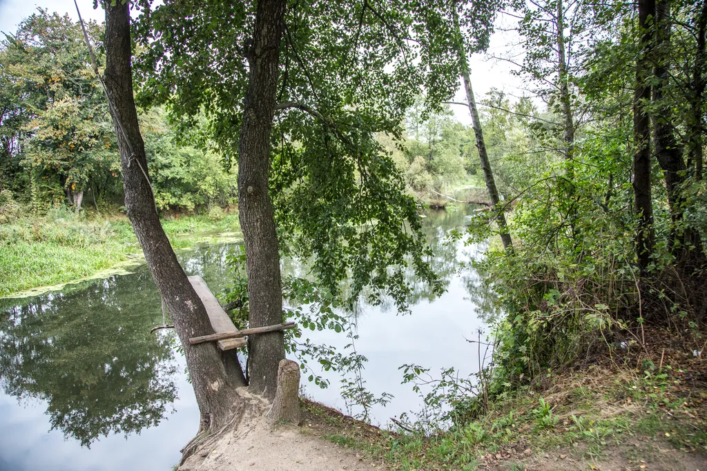 Агроусадьба Лесная Паулинка