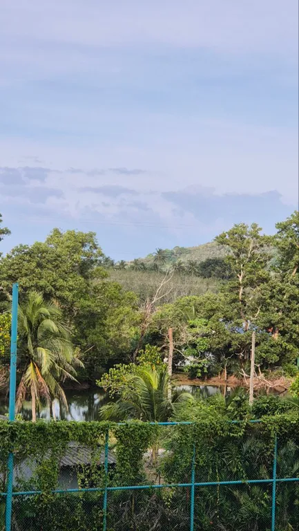 Уютные апартаменты в уютном месте на пхукете PB331