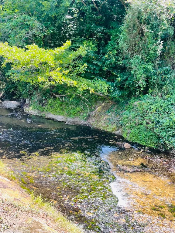 Двухкомнатный номер с видом на реку и бассейном