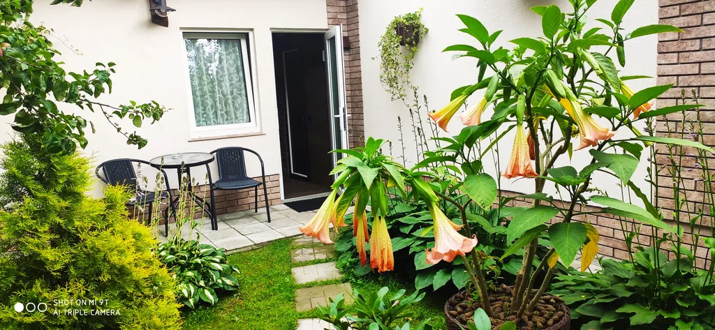 Студия в тенистом саду