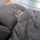 Станислав