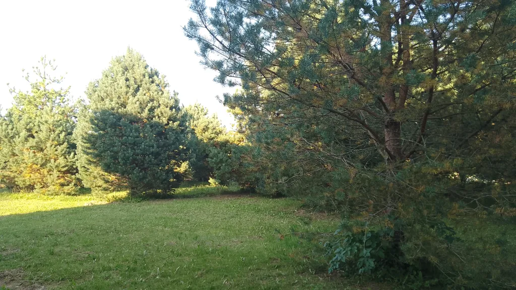 Таунхаус Хитрый Лис