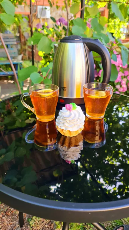 Апартаменты на Черном море с выходом в Карликовую рощу