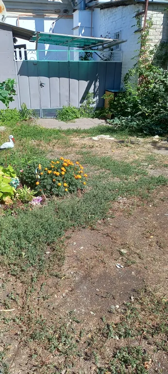 Уютная маленькая квартира в центре города