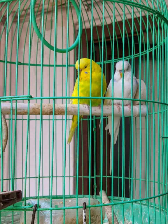 Уютная квартира с мини-садом