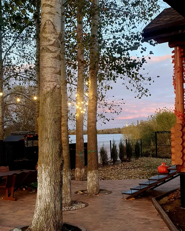 Дом Берег мечты 36 с баней на берегу реки