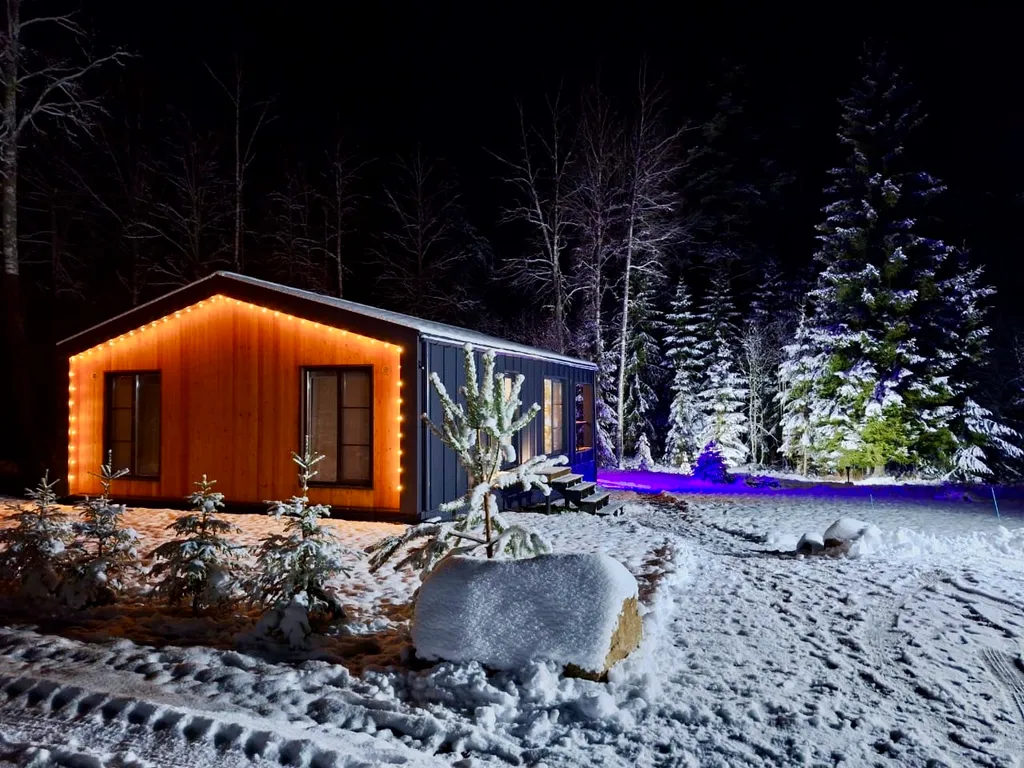 Дом с панорамными окнами в лес