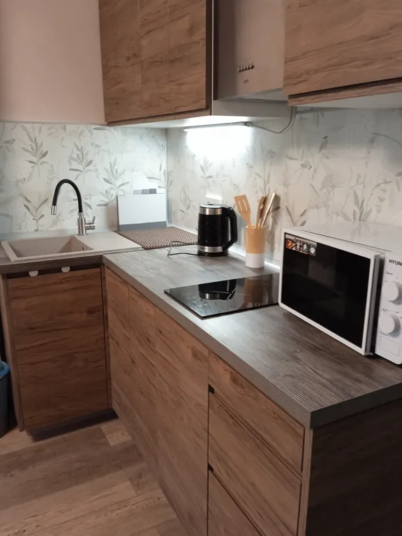 Квартира 1-комнатная квартира с кухней-гостинной в центре города — Ярославль