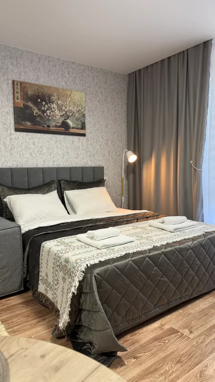 Квартира Уютная квартира в центре. 10 мин ЖД Вокзал. 40-60 мин Аэропорт. — Красноярск