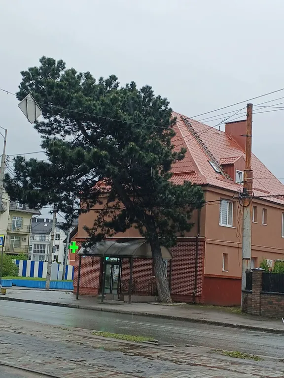 Квартира Новые 2-х местные апартаменты без кондиционера с кухней, Амалиенау — Калининград