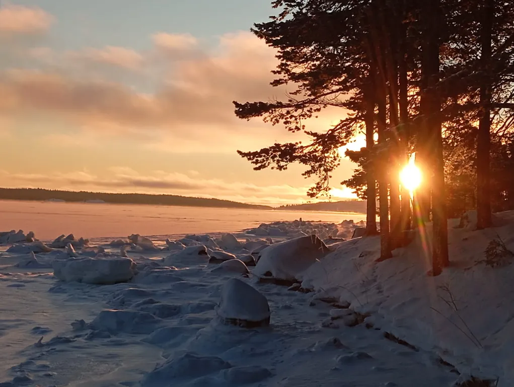 Уединенный коттедж на берегу Северного моря