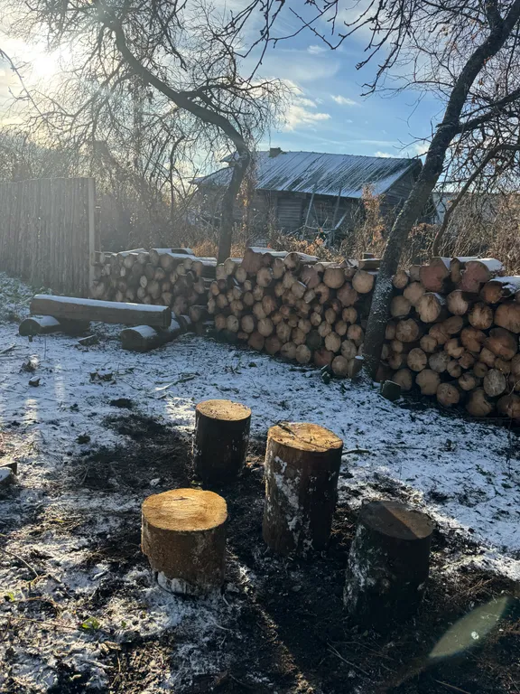 Избовье Добрыня - изба с русской печью