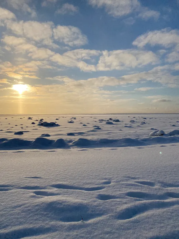Толстянкин дом