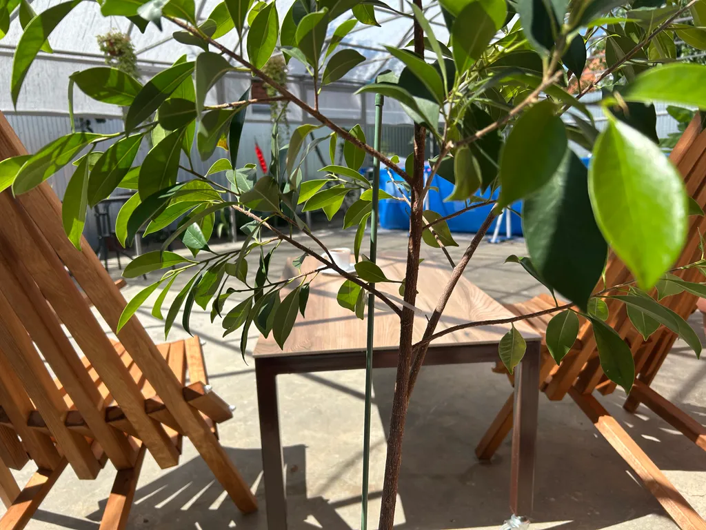 Гостевой дом Олива