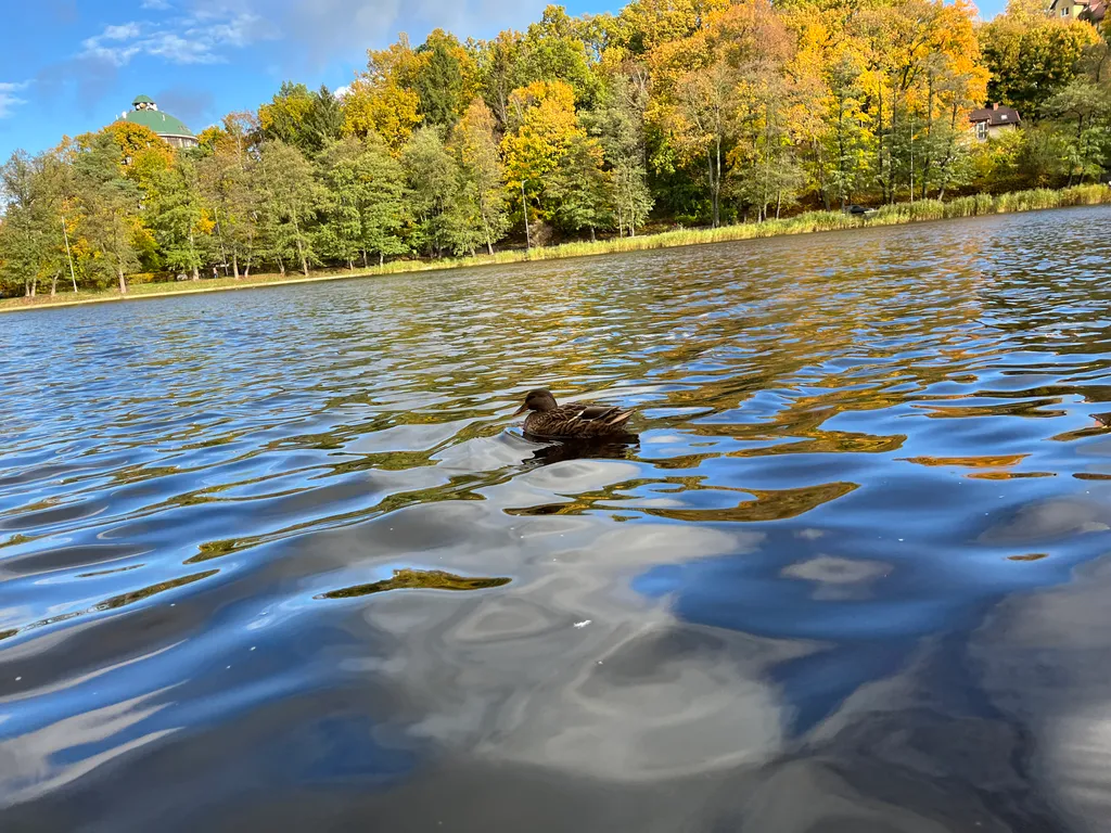 Уютная квартира в центре с видом на озеро
