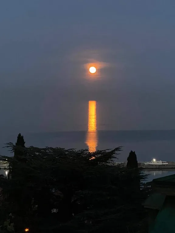 Уютная квартира с дивным видом на море