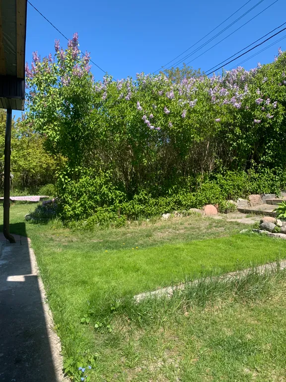 Апартаменты в гостях как дома