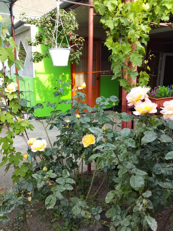 Квартира Комната — Феодосия