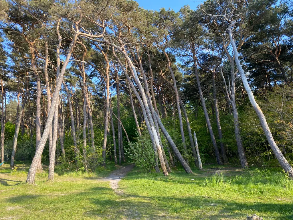 Уютные апартаменты на берегу Балтийского моря