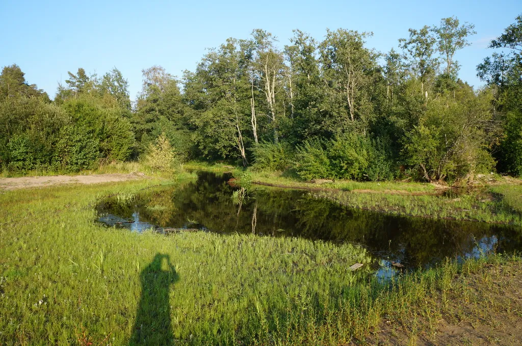 Коттедж на берегу Судаковского озера
