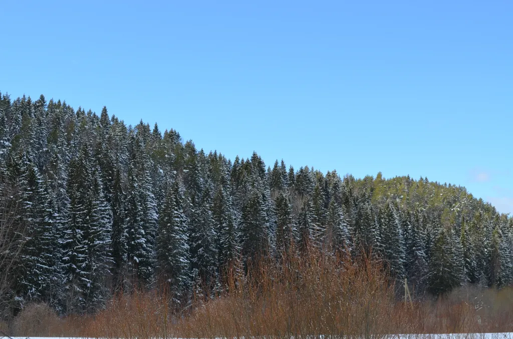 Берлога люкс, коттедж с банным чаном для отдыха с видом на лес и скалы