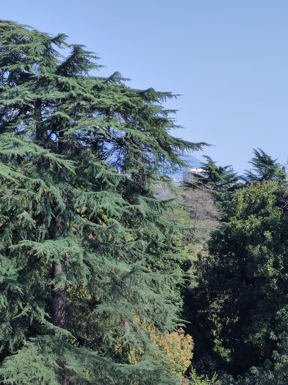 Квартира Квартира Студия в Парке — Сириус