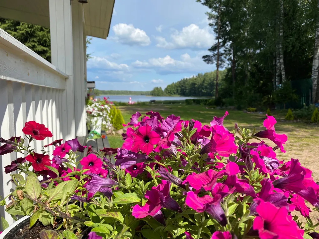 Милый домик у озера с баней