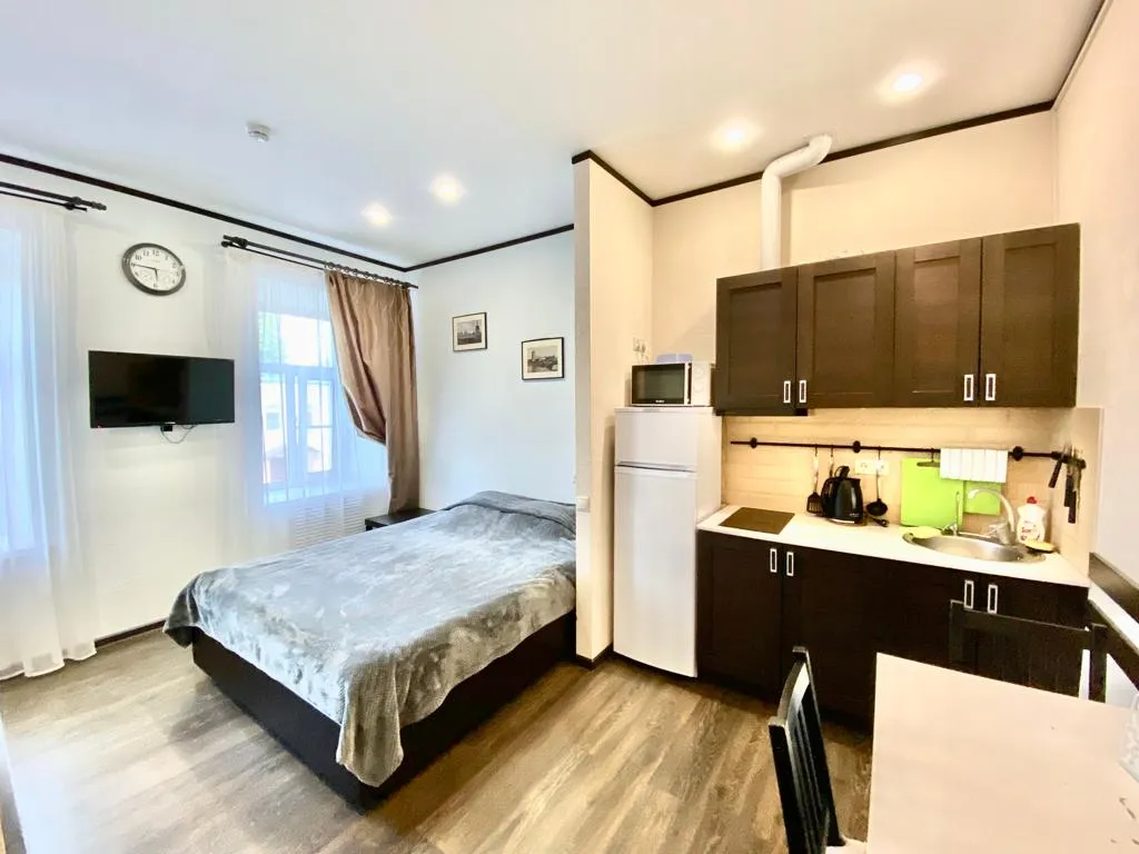 Квартира-студия на троих — аренда посуточно в Коломна