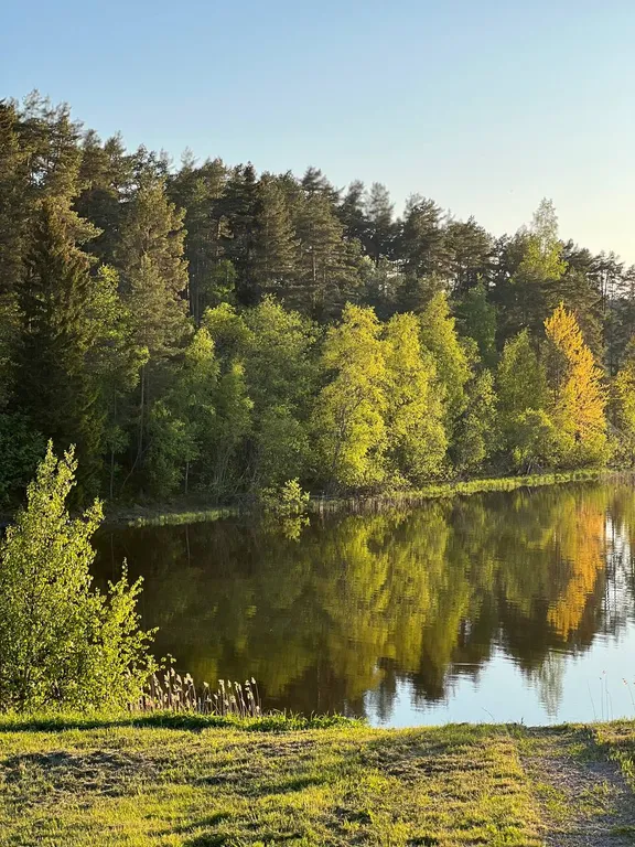 Дом на берегу Ладоги