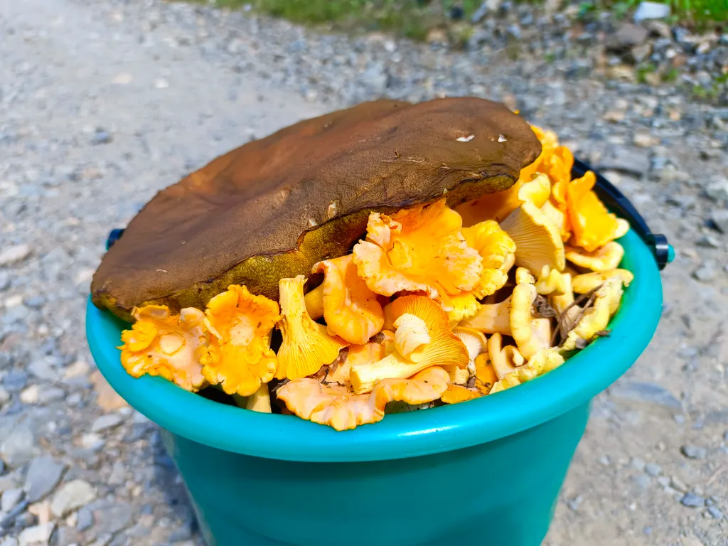 Особенная благостная квартира с удобным расположением на бульваре