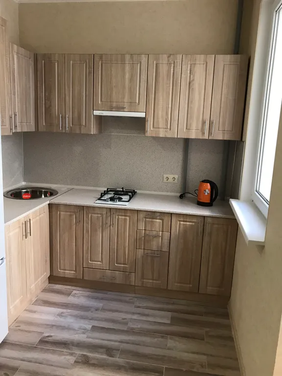 Квартира 1-комнатная Квартира — Сириус