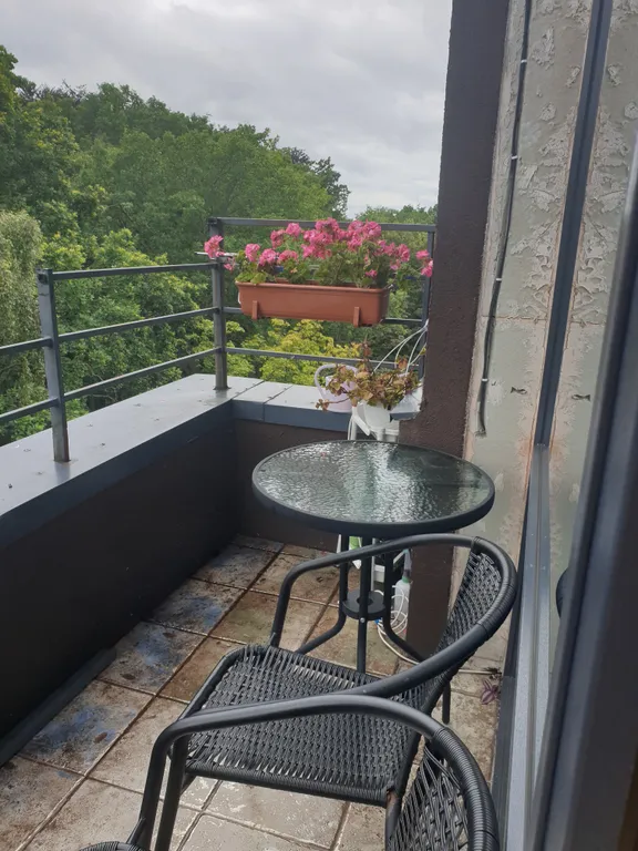 Квартира Солнечная квартира у моря. — Светлогорск