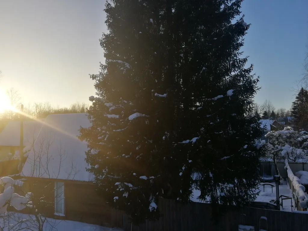 Дом с Сибирским банным чаном