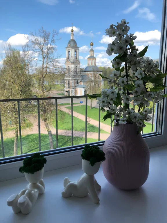 Апартаменты Сердце Углича в центре с видом на Храм, р.Волгу и Парк