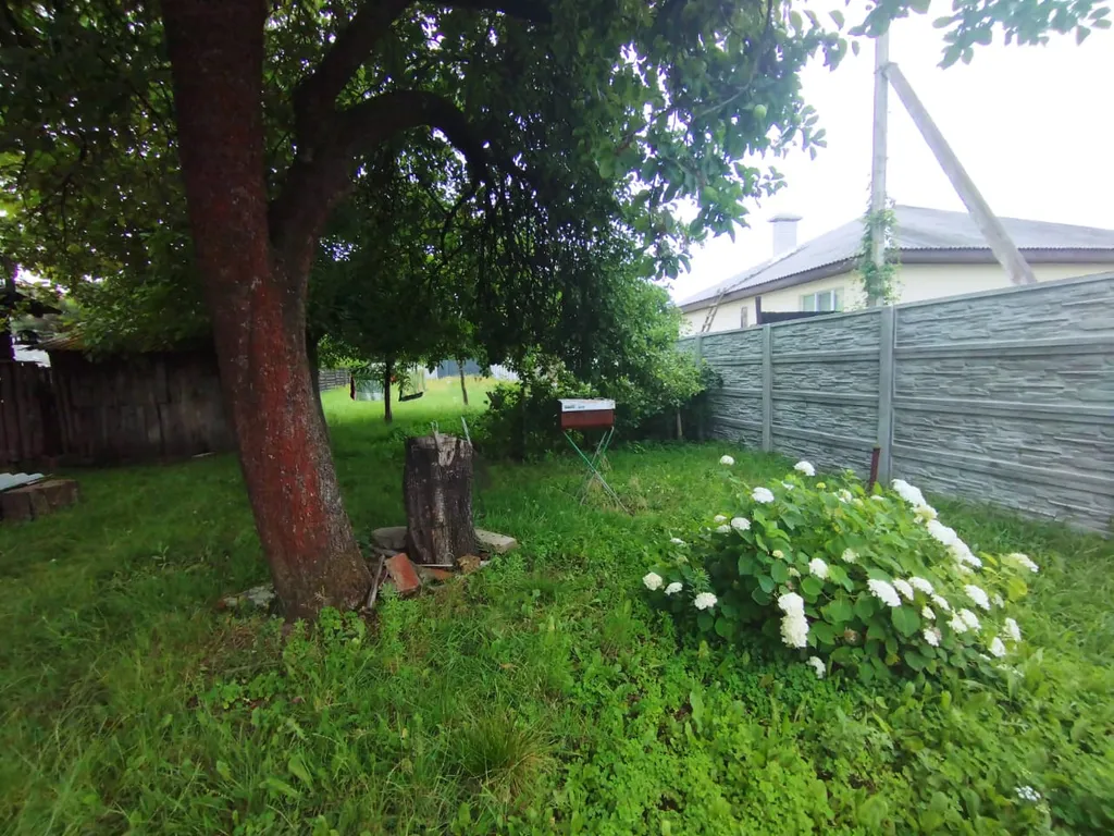 Маленький зеленый домик