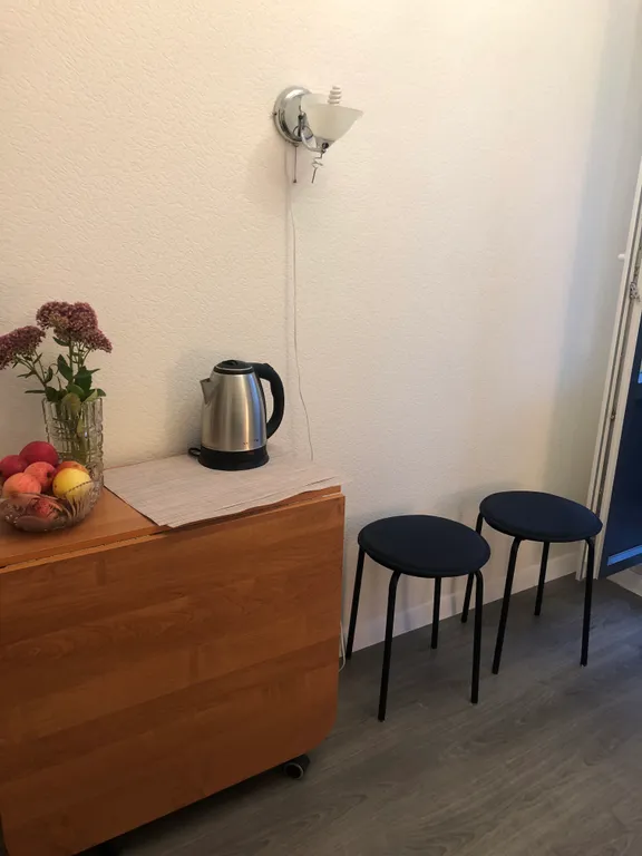 Квартира Однокомнатная квартира с видом на Смольный собор — Санкт-Петербург