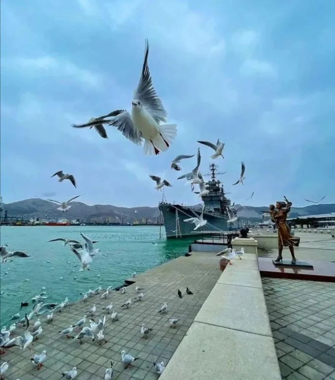 Уютная квартира с лучшим видом в городе