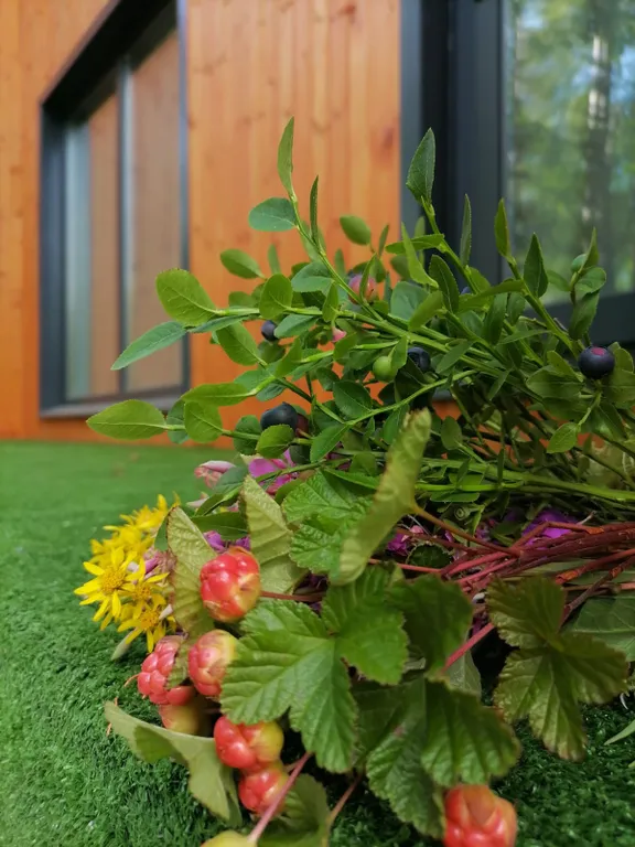 Коттедж Лыжная деревня — аренда посуточно в Апатиты