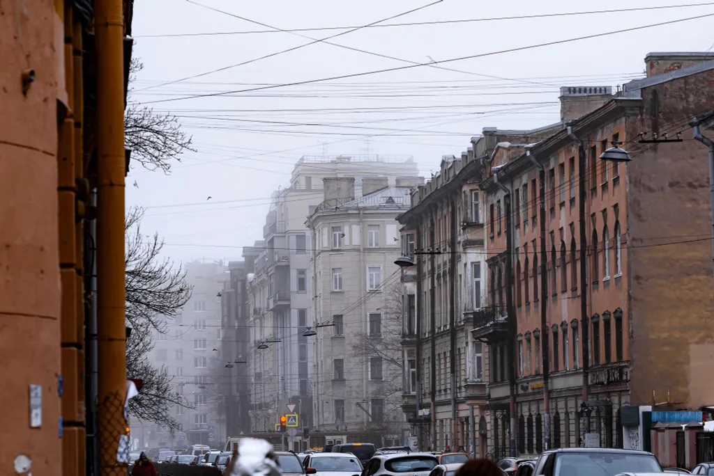 Апартамент Cozy Nest в старинном доме и бесплатной парковкой