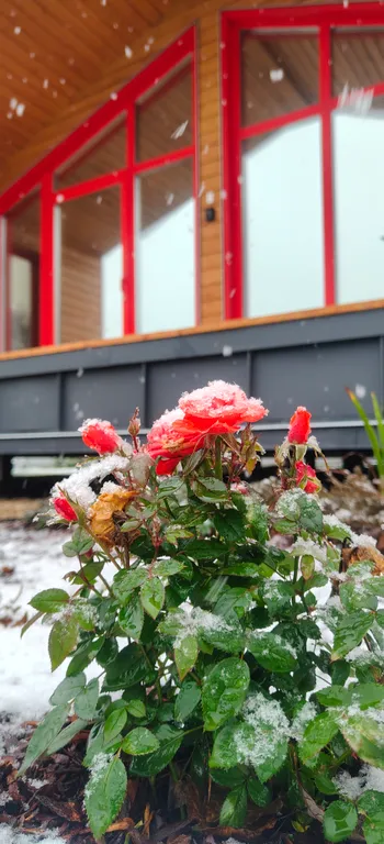 Коттедж Oasis denden дом с купелью — Михнево