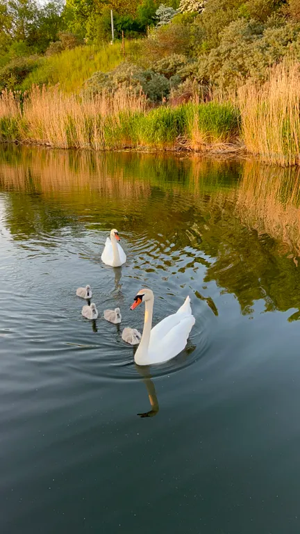 Уютная квартира на первой линии от моря