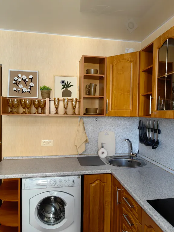 Просторная квартира у ЖД Вокзала, трёхкомнатная