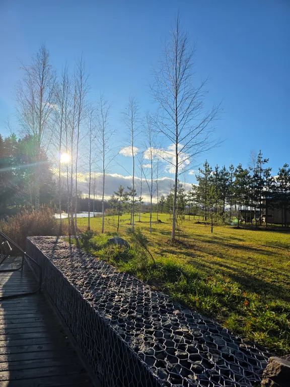 Дом Безмятежный на заливе реки Нерль с видом на лес