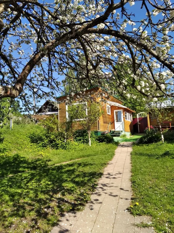 Домик у берега Волги