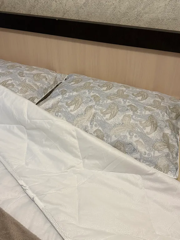 Уютная студия в центре города в 5 минутах от ЖД вокзала