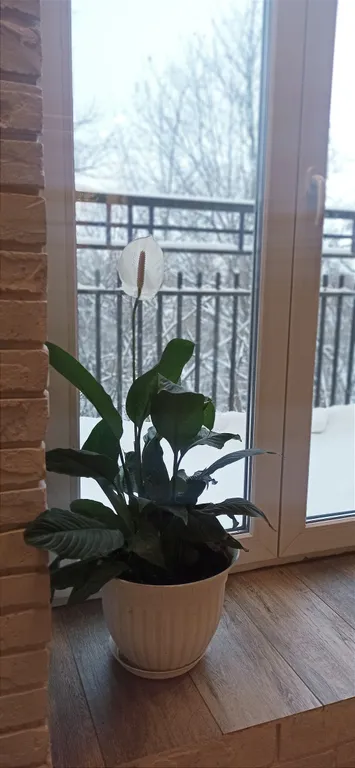 Квартира в стиле лофт у парка